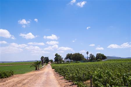 False - Farm For Sale in Klein Drakenstein, Paarl, Western Cape - M120164