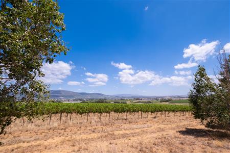 False - Farm For Sale in Klein Drakenstein, Paarl, Western Cape - M120164