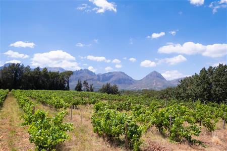 False - Farm For Sale in Klein Drakenstein, Paarl, Western Cape - M120164