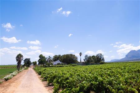 False - Farm For Sale in Klein Drakenstein, Paarl, Western Cape - M120164