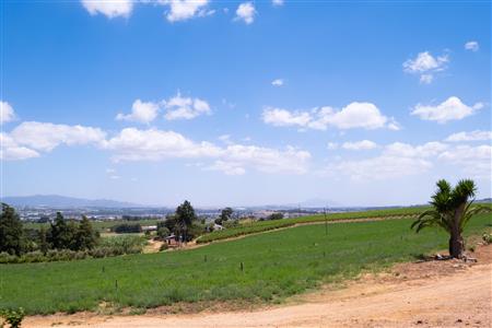 False - Farm For Sale in Klein Drakenstein, Paarl, Western Cape - M120164