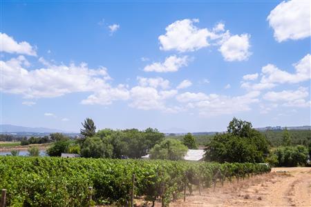 False - Farm For Sale in Klein Drakenstein, Paarl, Western Cape - M120164
