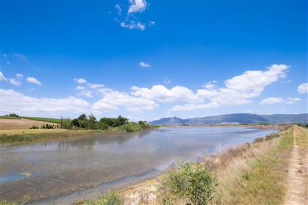 False - Farm For Sale in Klein Drakenstein, Paarl, Western Cape - M120164