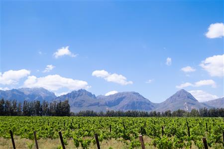 False - Farm For Sale in Klein Drakenstein, Paarl, Western Cape - M120164