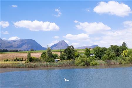 False - Farm For Sale in Klein Drakenstein, Paarl, Western Cape - M120164