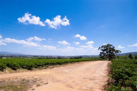 False - Farm For Sale in Klein Drakenstein, Paarl, Western Cape - M120164
