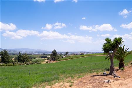 False - Farm For Sale in Klein Drakenstein, Paarl, Western Cape - M120164