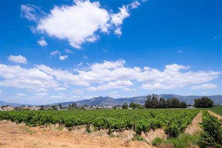 False - Farm For Sale in Klein Drakenstein, Paarl, Western Cape - M120164