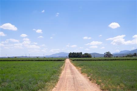 False - Farm For Sale in Klein Drakenstein, Paarl, Western Cape - M120164