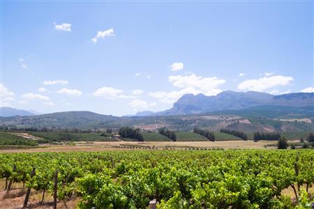 False - Farm For Sale in Klein Drakenstein, Paarl, Western Cape - M120164
