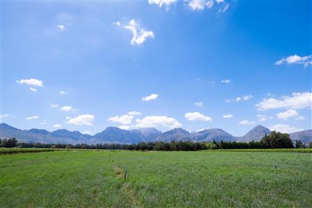 False - Farm For Sale in Klein Drakenstein, Paarl, Western Cape - M120164