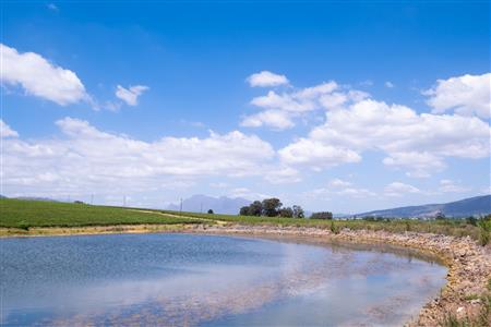 False - Farm For Sale in Klein Drakenstein, Paarl, Western Cape - M120164
