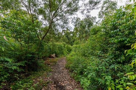 False - Farm For Sale in Blanco, George, Western Cape - M120251