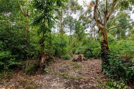 False - Farm For Sale in Blanco, George, Western Cape - M120251