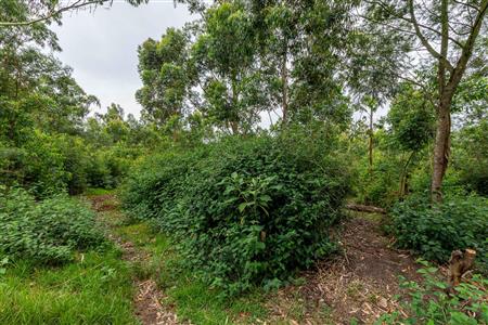 False - Farm For Sale in Blanco, George, Western Cape - M120251