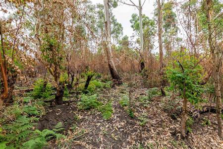False - Farm For Sale in Blanco, George, Western Cape - M120251