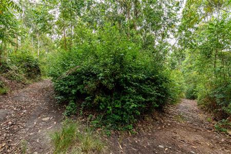 False - Farm For Sale in Blanco, George, Western Cape - M120251