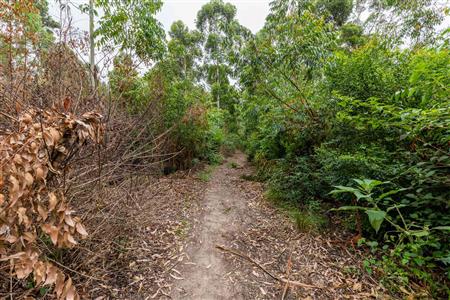 False - Farm For Sale in Blanco, George, Western Cape - M120251