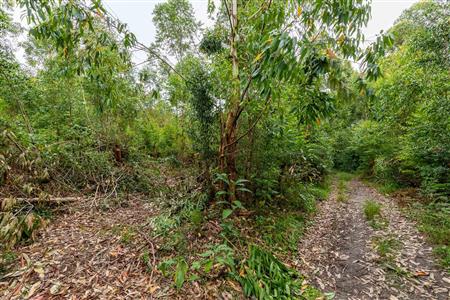 False - Farm For Sale in Blanco, George, Western Cape - M120251
