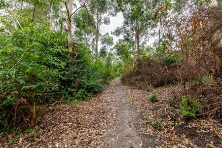 False - Farm For Sale in Blanco, George, Western Cape - M120251