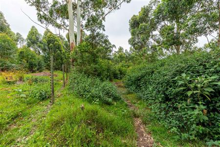 False - Farm For Sale in Blanco, George, Western Cape - M120251
