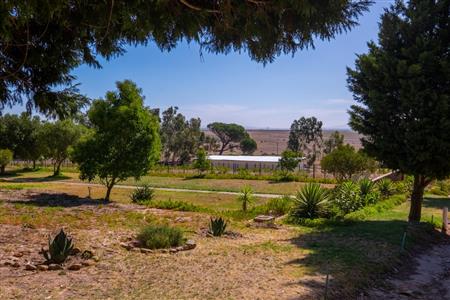 False - Farm For Sale in Paarl Rural, Paarl, Western Cape - M120290