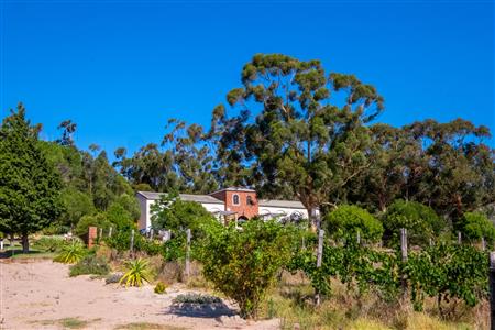 False - Farm For Sale in Paarl Rural, Paarl, Western Cape - M120290