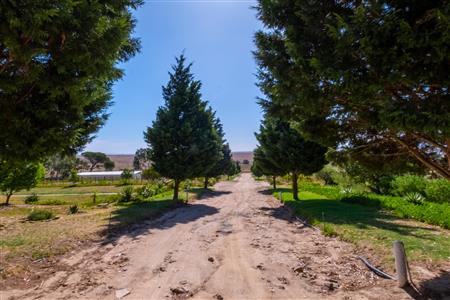 False - Farm For Sale in Paarl Rural, Paarl, Western Cape - M120290