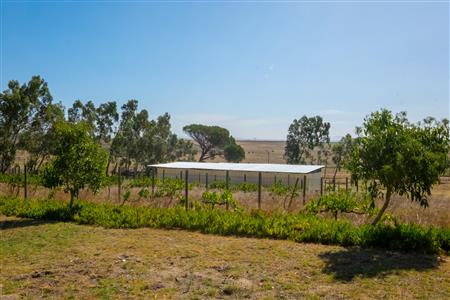 False - Farm For Sale in Paarl Rural, Paarl, Western Cape - M120290