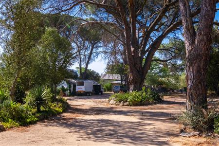 False - Farm For Sale in Paarl Rural, Paarl, Western Cape - M120290