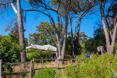 False - Farm For Sale in Paarl Rural, Paarl, Western Cape - M120290