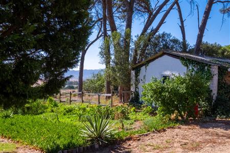 False - Farm For Sale in Paarl Rural, Paarl, Western Cape - M120290