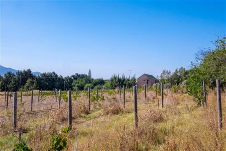 False - Farm For Sale in Paarl Rural, Paarl, Western Cape - M120290