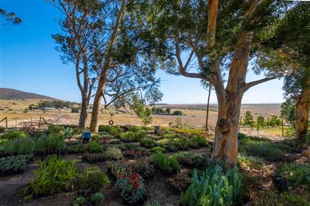False - Farm For Sale in Paarl Rural, Paarl, Western Cape - M120290