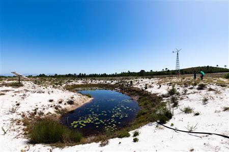 False - Farm For Sale in Albertinia, Western Cape - M120327