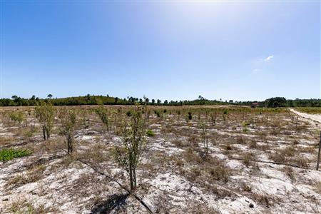 False - Farm For Sale in Albertinia, Western Cape - M120327
