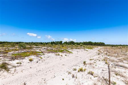 False - Farm For Sale in Albertinia, Western Cape - M120327