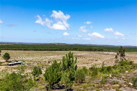 False - Farm For Sale in Albertinia, Western Cape - M120327