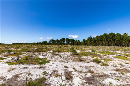 False - Farm For Sale in Albertinia, Western Cape - M120327