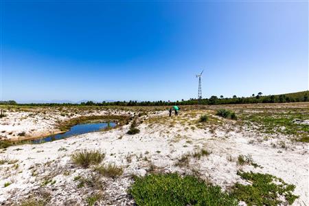 False - Farm For Sale in Albertinia, Western Cape - M120327