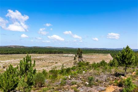 False - Farm For Sale in Albertinia, Western Cape - M120327