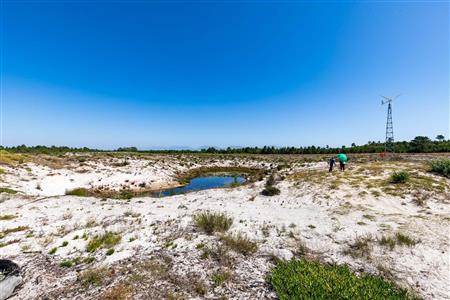 False - Farm For Sale in Albertinia, Western Cape - M120327
