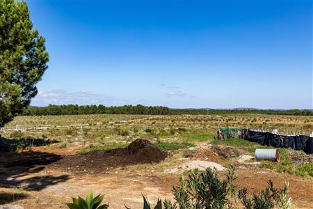 False - Farm For Sale in Albertinia, Western Cape - M120327