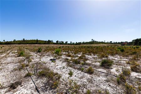 False - Farm For Sale in Albertinia, Western Cape - M120327