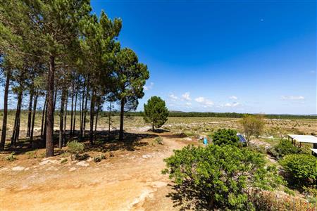 False - Farm For Sale in Albertinia, Western Cape - M120327