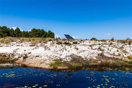 False - Farm For Sale in Albertinia, Western Cape - M120327