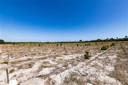 False - Farm For Sale in Albertinia, Western Cape - M120327