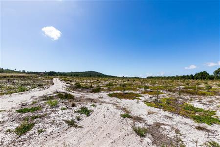 False - Farm For Sale in Albertinia, Western Cape - M120327