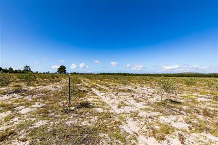 False - Farm For Sale in Albertinia, Western Cape - M120327