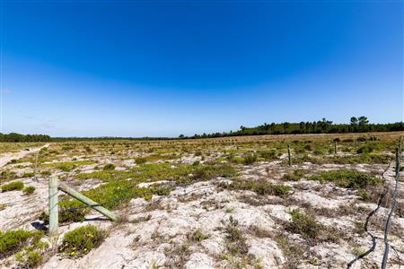 False - Farm For Sale in Albertinia, Western Cape - M120327